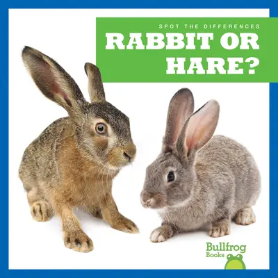 ¿Conejo o liebre? - Rabbit or Hare?