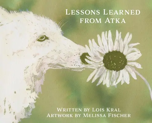 Lecciones aprendidas de Atka - Lessons Learned from Atka
