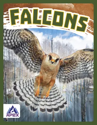 Halcones - Falcons