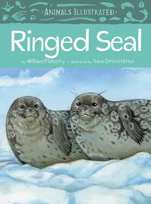 Animales Ilustrados: Foca anillada - Animals Illustrated: Ringed Seal