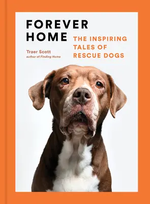 Forever Home: Las inspiradoras historias de los perros rescatados - Forever Home: The Inspiring Tales of Rescue Dogs