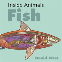 Dentro de los animales: Peces - Inside Animals: Fish