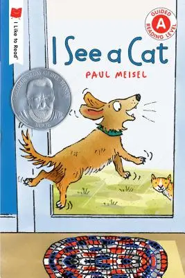 Veo un gato - I See a Cat