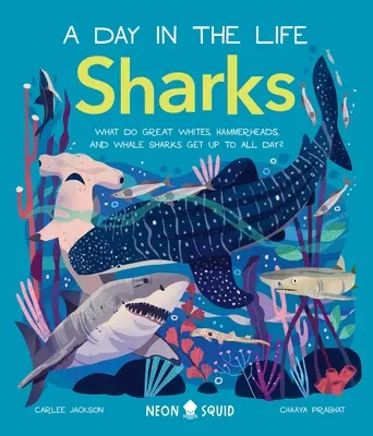 Tiburones (un día en la vida): ¿Qué hacen todo el día los tiburones blancos, los tiburones martillo y los tiburones ballena? - Sharks (a Day in the Life): What Do Great Whites, Hammerheads, and Whale Sharks Get Up to All Day?