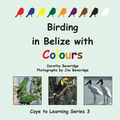 Observación de aves en Belice con colores - Birding in Belize with Colours