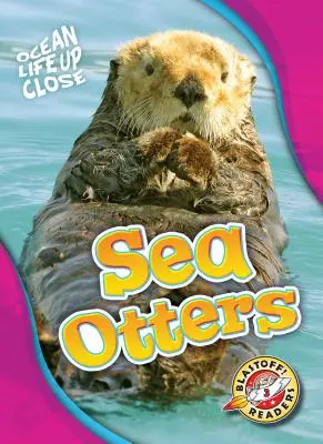 Nutrias marinas - Sea Otters