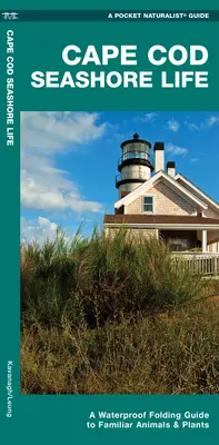 Cape Cod Seashore Life - Guía plegable impermeable de animales y plantas conocidos - Cape Cod Seashore Life - A Waterproof Folding Guide to Familiar Animals & Plants