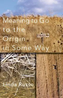 Significado de ir al origen de alguna manera - Meaning to Go to the Origin in Some Way