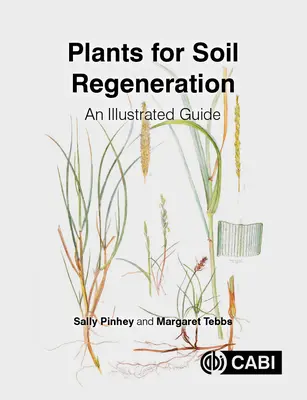 Plantas para la regeneración del suelo: Guía ilustrada - Plants for Soil Regeneration: An Illustrated Guide