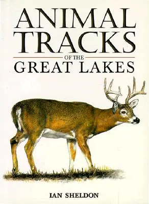 Huellas de animales de los Grandes Lagos - Animal Tracks of the Great Lakes