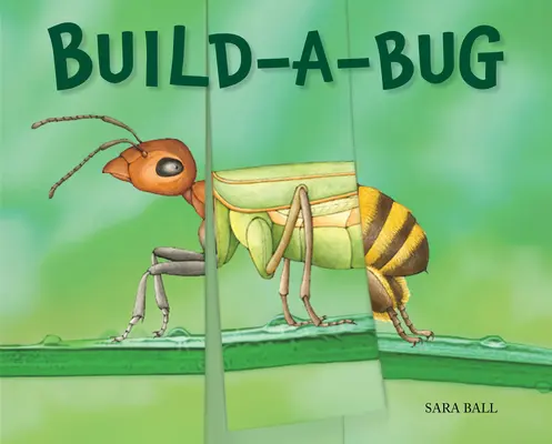 Construye un bicho - Build-A-Bug