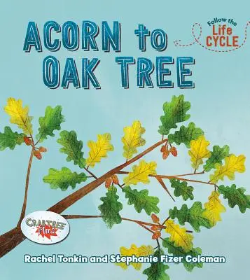 De bellota a roble - Acorn to Oak Tree