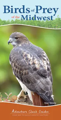 Aves rapaces del Medio Oeste: Su manera de identificar fácilmente las rapaces - Birds of Prey of the Midwest: Your Way to Easily Identify Raptors