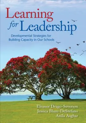 Aprender para liderar: Estrategias de desarrollo para crear capacidad en nuestras escuelas - Learning for Leadership: Developmental Strategies for Building Capacity in Our Schools