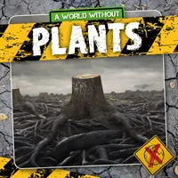 Plantas - Plants