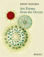 Formas artísticas del océano: Las impresiones radiolarias de Ernst Haeckel - Art Forms from the Ocean: The Radiolarian Prints of Ernst Haeckel