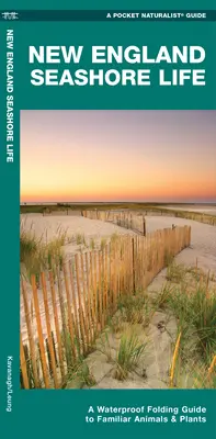 Vida en la costa de Nueva Inglaterra - Guía plegable impermeable de animales y plantas conocidos - New England Seashore Life - A Waterproof Folding Guide to Familiar Animals & Plants