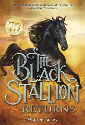 El regreso del semental negro - The Black Stallion Returns