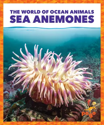 Anémonas de mar - Sea Anemones