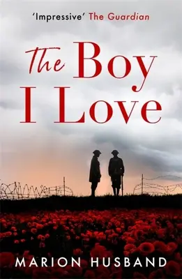 El chico que quiero: Libro Uno - The Boy I Love: Book One