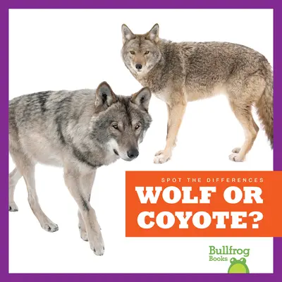 ¿Lobo o Coyote? - Wolf or Coyote?