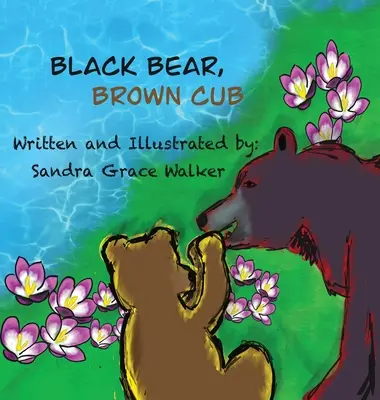 Oso negro, cachorro marrón - Black Bear, Brown Cub