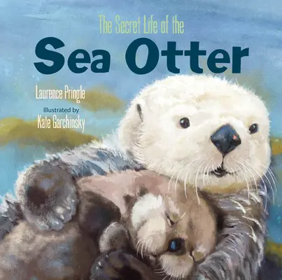 La vida secreta de la nutria marina - The Secret Life of the Sea Otter