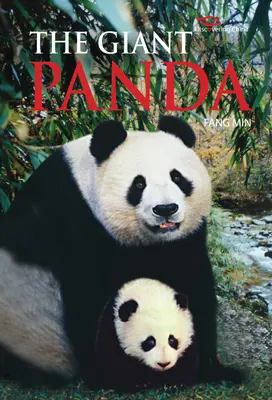 Panda gigante - Descubrir China - Giant Panda - Discovering China