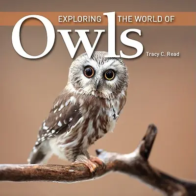 Descubrir el mundo de los búhos - Exploring the World of Owls