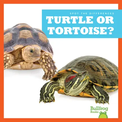 ¿Tortuga o Tortuga? - Turtle or Tortoise?