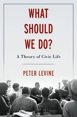 Qué debemos hacer: Teoría política para ciudadanos - What Should We Do: Political Theory for Citizens