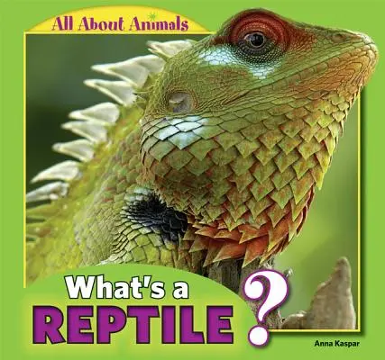 ¿Qué es un reptil? - What's a Reptile?