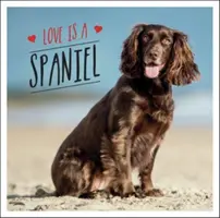 El amor es un Spaniel - Una celebración perruna de la raza más adorable del mundo - Love is a Spaniel - A Dog-Tastic Celebration of the World's Most Lovable Breed