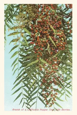 Diario Vintage California Pepper Berries - The Vintage Journal California Pepper Berries