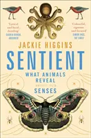 Sentient - Lo que los animales revelan sobre los sentidos humanos - Sentient - What Animals Reveal About Human Senses