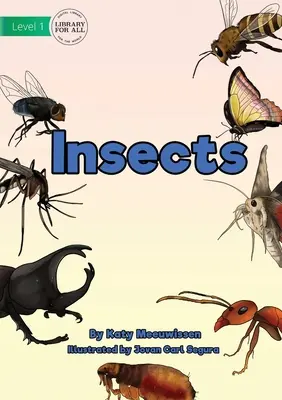 Insectos - Insects