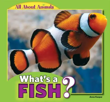 ¿Qué es un pez? - What's a Fish?