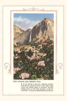 Diario Vintage Azaleas salvajes en Yosemite - The Vintage Journal Wild Azaleas at Yosemite