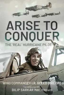 Arise to Conquer: El «verdadero» piloto de Hurricane - Arise to Conquer: The 'Real' Hurricane Pilot