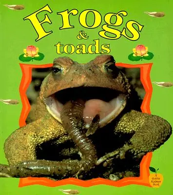 Ranas y sapos - Frogs & Toads