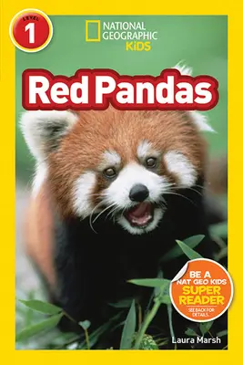 Pandas rojos - Red Pandas