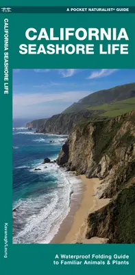 California Seashore Life - Guía plegable impermeable de animales y plantas conocidos - California Seashore Life - A Waterproof Folding Guide to Familiar Animals & Plants