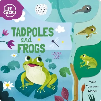 Renacuajos y ranas: Haz tu propia maqueta - Tadpoles and Frogs: Make Your Own Model!