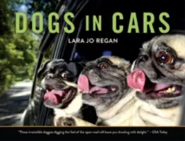 Perros en el coche - Dogs in Cars