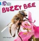 Abejas zumbonas - Buzzy Bees