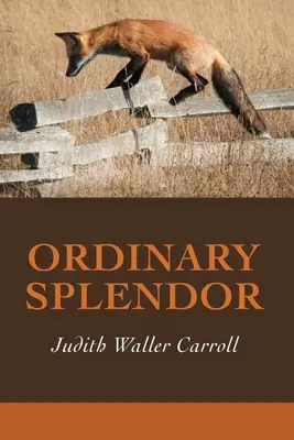 Esplendor ordinario - Ordinary Splendor