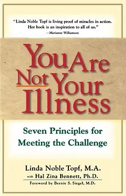 Usted No Es Su Enfermedad: Siete principios para afrontar el reto - You Are Not Your Illness: Seven Principles for Meeting the Challenge
