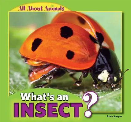 ¿Qué es un insecto? - What's an Insect?