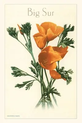 The Vintage Journal Amapola de California, Big Sur - The Vintage Journal California Poppy, Big Sur