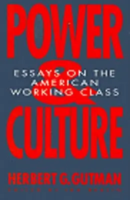 Poder y cultura: Ensayos sobre la clase obrera estadounidense - Power and Culture: Essays on the American Working Class